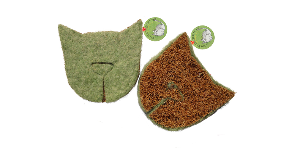 Erba1